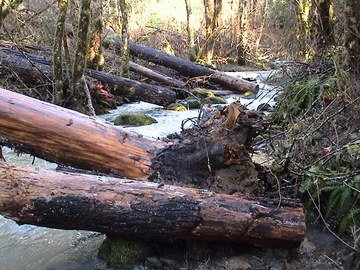 sites image illustrating project progress