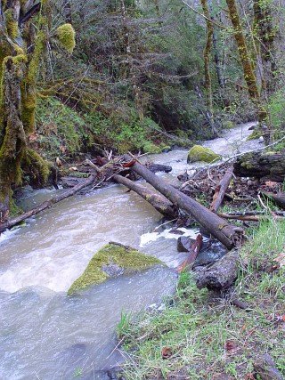 sites image illustrating project progress