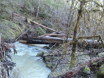 sites image illustrating project progress