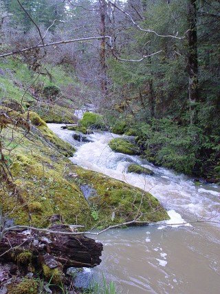 sites image illustrating project progress