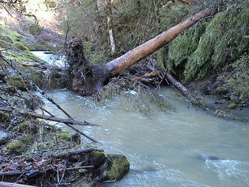 sites image illustrating project progress