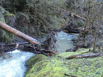 sites image illustrating project progress