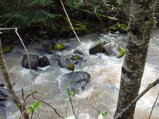 sites image illustrating project progress