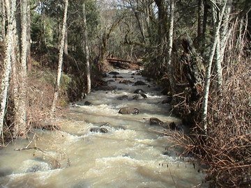 image of area after restoration has been done