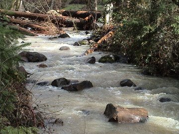 sites image illustrating project progress