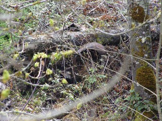 sites image illustrating project progress