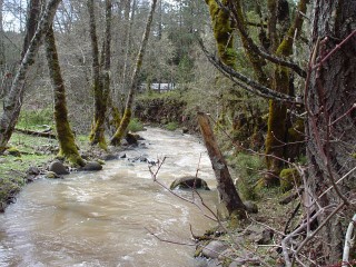 sites image illustrating project progress