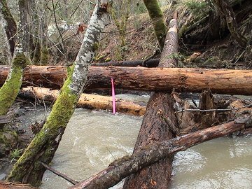 sites image illustrating project progress