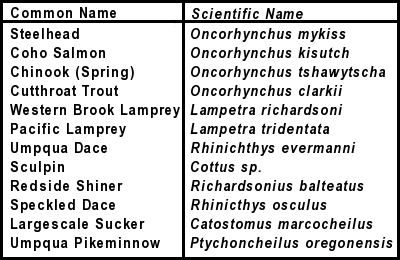 fish species image map