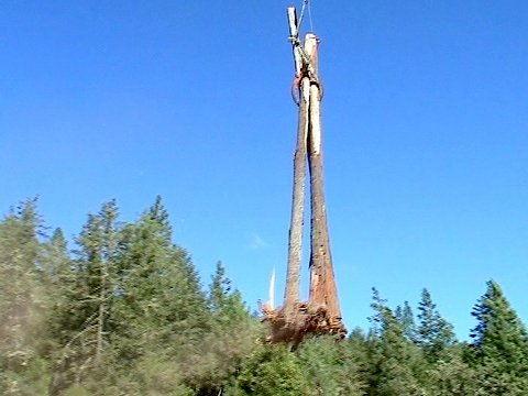 bundle being transported